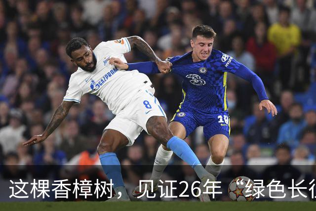 这棵香樟树，见证26年“绿色长征”